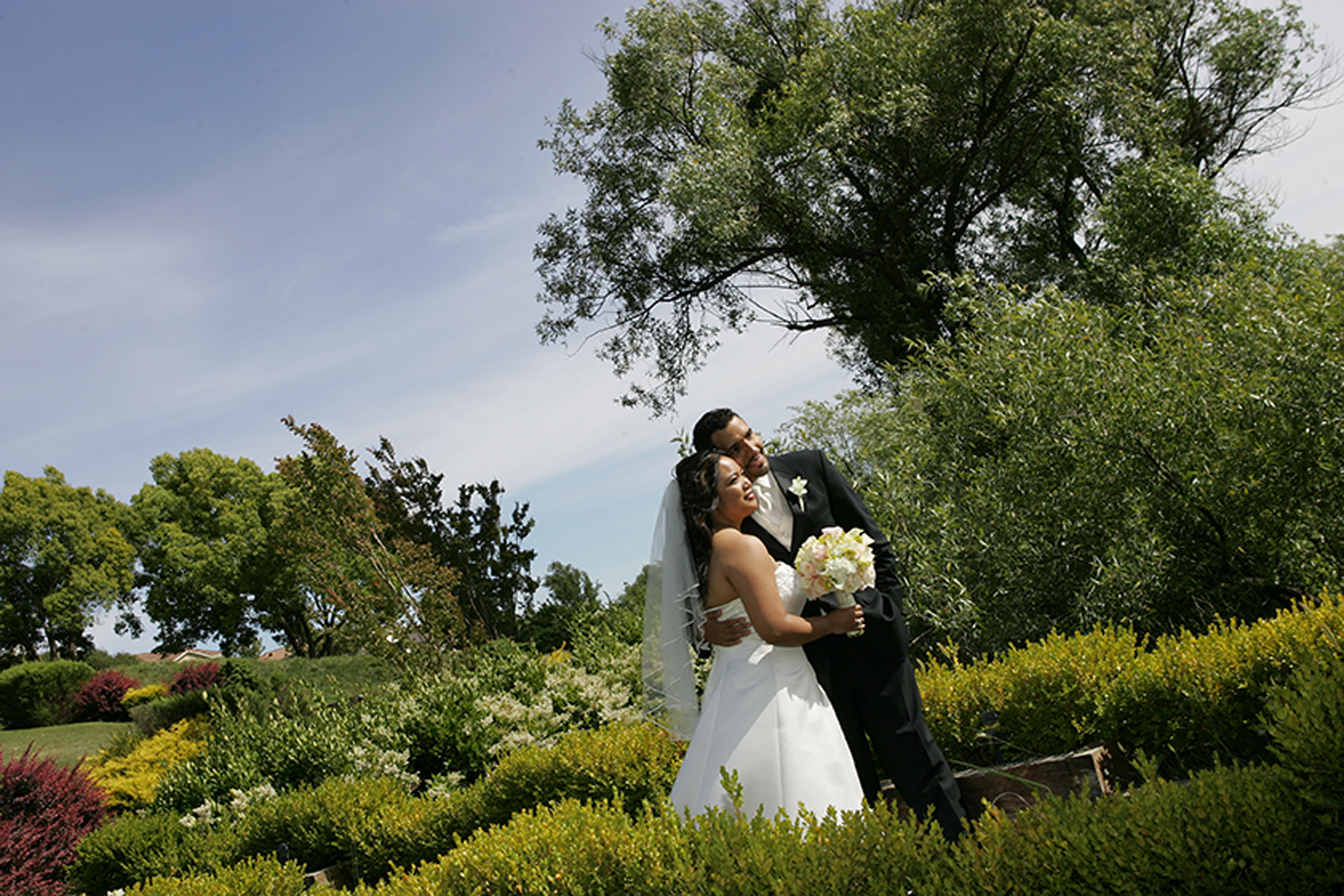 Weddings_116.jpg